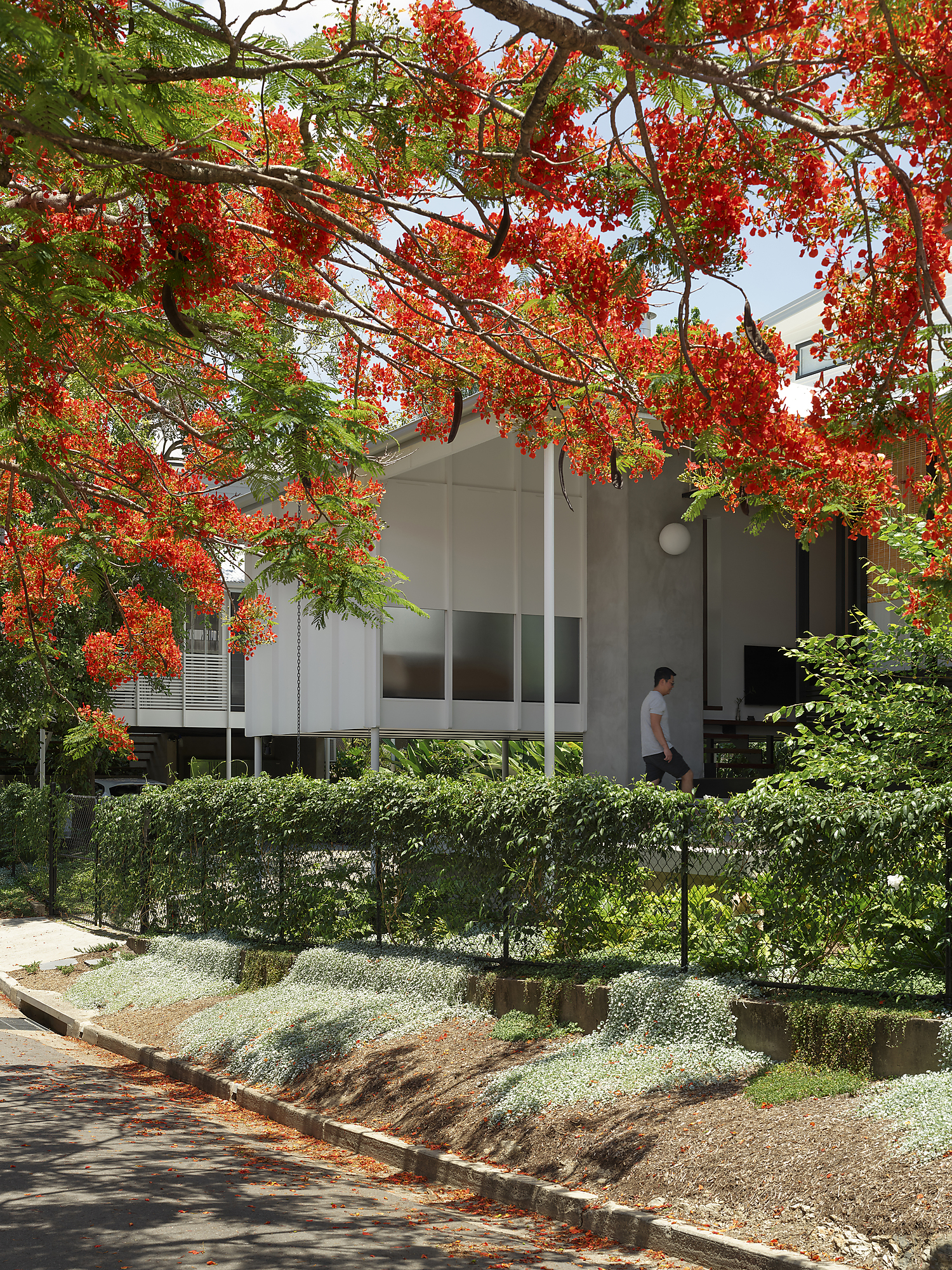 Interior photograph of Three House by Toby Scott